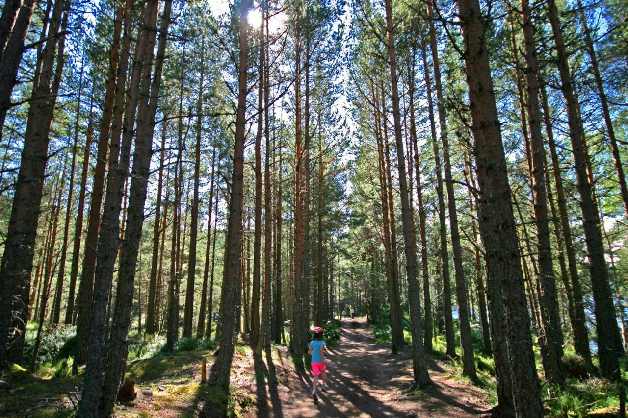 Tigh Na Lochan Aviemore Kültér fotó